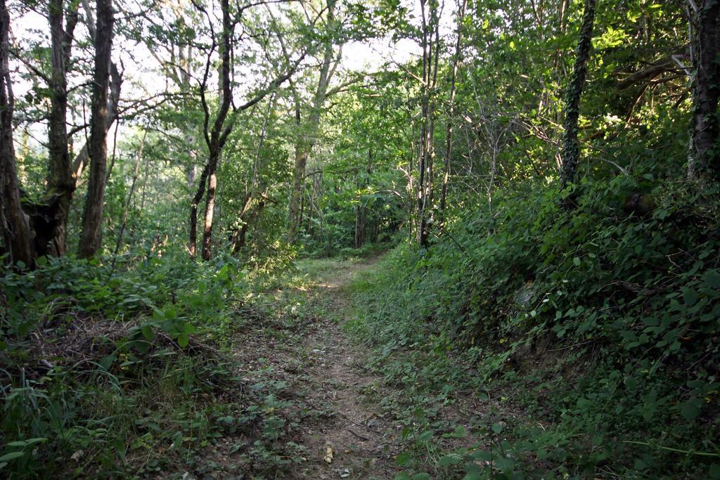 Camping Domaine Vallee Du Tarn Sn Saint-Cirgue Exteriér fotografie